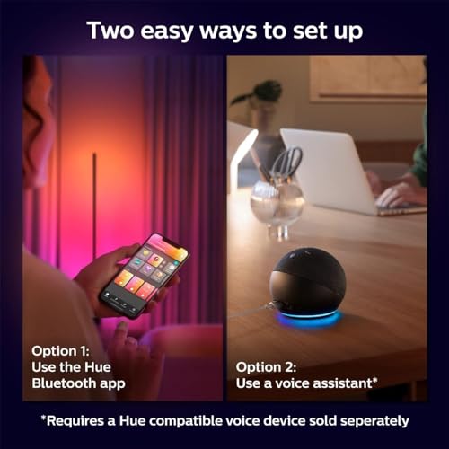 Philips Hue Signe Smart Color Changing Floor Lamp, 1-Pack, Black