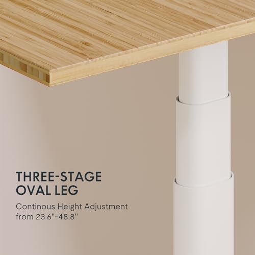 FLEXISPOT E6 Pro Organic Modern Bamboo Standing Desk, Electric Dual Motor 3-Stage Height Adjustable Desk with Oval Legs, Heavy Duty 330lbs, 48" x 24" Bamboo Desktop, White Frame