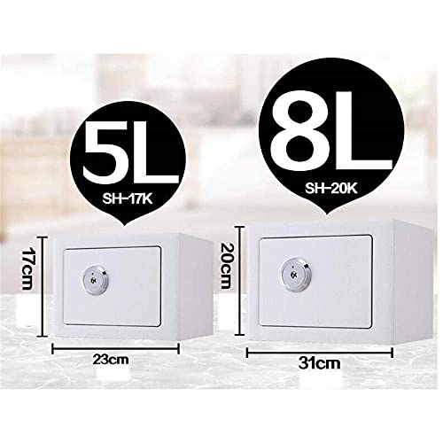 ntumLeap Safe Safe Box Key Safe Box for Elderly Children Students in-Wall All-Steel Safe Office Home Small Mechanical Lock for Home and Office Safe,