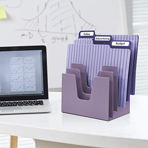Acrimet 5 Section Incline File Sorter Organizer, Desktop Mail Holder Purple
