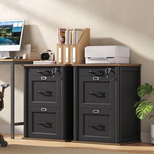 RALGEND 3 Drawer File Cabinet with Lock Set of 2, Wooden Farmhouse Filing Cabinet with Storage Fits Letter and A4 Size, Vertical Printer Stand for Home Office, Rustic Brown and Black