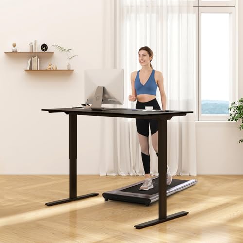 FLEXISPOT E3 Dual Motor 2 Stages Standing Desk Height Adjustable Electric Stand Up Desk Frame Only (Black)