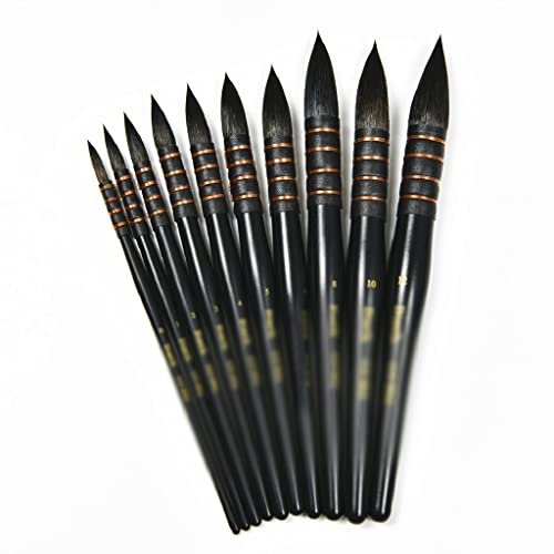 JSEIAJB Beginners Art Supplies Watercolor Brushes for Artists