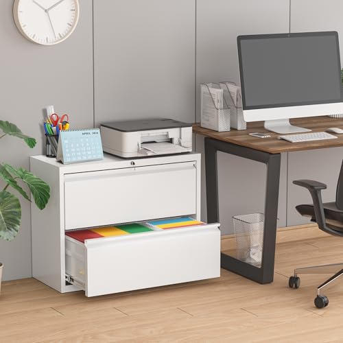 Pataku Lateral File Cabinet, 2 Drawer File Cabinet with Lock, White Filing Cabinets for Home Office, Metal File Cabinet for Hanging Files/Letters/Legal/A4(2Drawer/White)