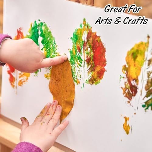 Poster Board White Poster Paper 11x14 Large Poster Board Bulk School Supplies 200 Pack (White 11x14)