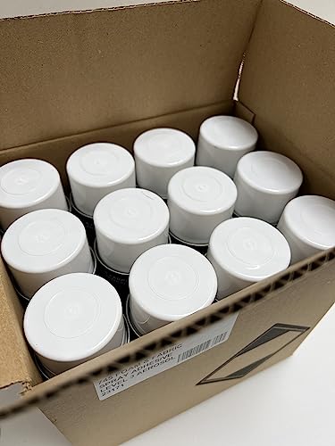 Foam Starr 745 Foam & Fabric Adhesive Spray 12 Pack