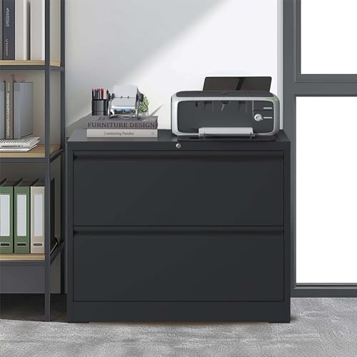 FHUKMZOI Lateral File Cabinet 2 Drawer Filing Cabinet with Lock, Filing Cabinets for Home Office, Steel Heavy-Duty Filing Storage Cabinet for Letters/Legal/A4, Black (2 Drawer-Black)