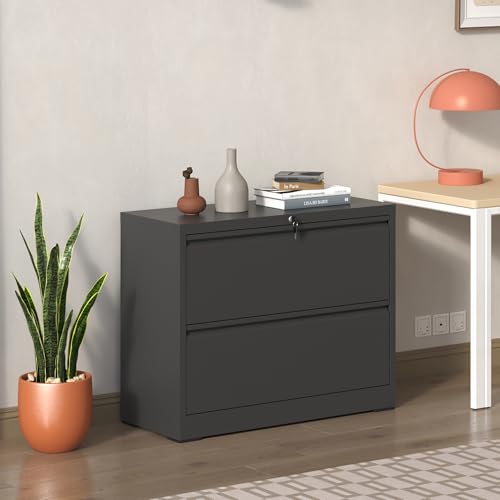 FHUKMZOI Lateral File Cabinet 2 Drawer Filing Cabinet with Lock, Filing Cabinets for Home Office, Steel Heavy-Duty Filing Storage Cabinet for Letters/Legal/A4, Black (2 Drawer-Black)