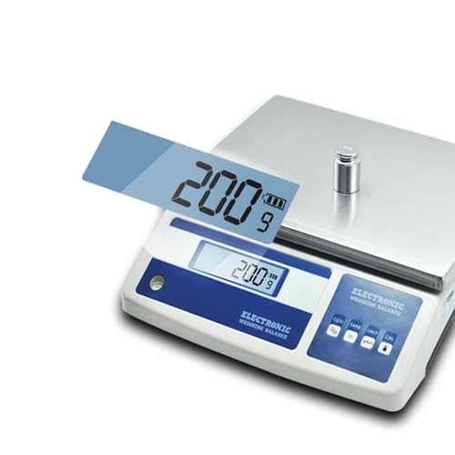 NYTFHMS Small Portable Digital Scale Mini Electronic 25Kg 10kg 0.1g