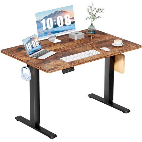 DUMOS 48 Inch Electric Standing Desk, Memory Adjustable Home Office Desk