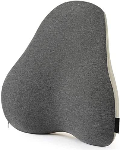 GIENEX Lumbar Support Pillow for Office Chair, Back Support Pillow, Fits The Waist Curve Memory Foam Back Cushion, Ergonomic Back Support Pillow for Car Seat, Wheelchair