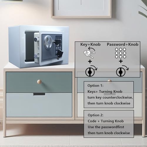 Yuanshikj Small Steel Security Safe Box with Keypad,Key;0.23 Cu Ft, White