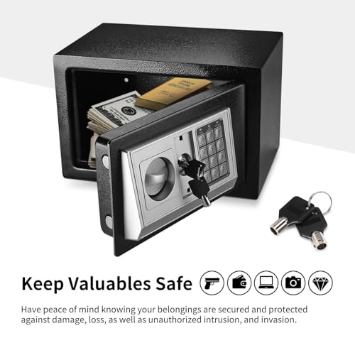 Flexzion Small Digital Safe with Keypad - Cash Safe Box for Money with Electronic Keypad - Digital Lock Box for Home, Office, Hotel, Small Safe Box with 2 Keys (12"x8"x8"), Black