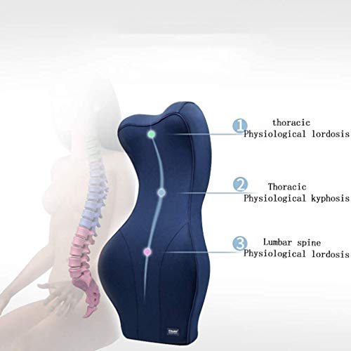 UIOLCFG Lumbar Pillow - Support Pillow, Memory Foam Back Cushion with Breathable for Car Seat,Office Computer Chair