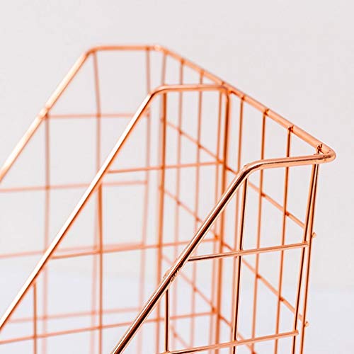 DNVKQGd Desk File Organizer,Desktop Organizer File Sorter File Magazine Folder Holder Desktop File Rack Simple Desktop File Sorter Multifunctional Vertical File Rack Desktop File Organizer