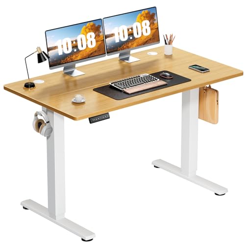 Sweetcrispy Electric Standing Desk, Computer Desk, 48x24 Inch