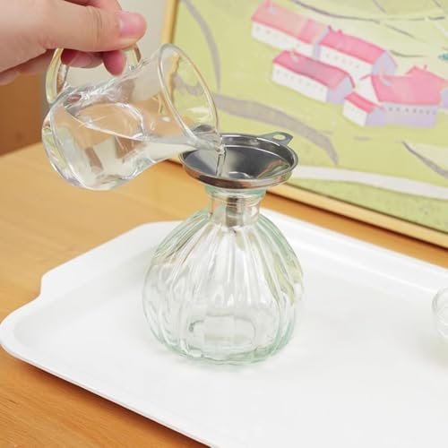 LLTCMAOYI Montessori Pouring Water Work Set, Glass Practical Life Kit