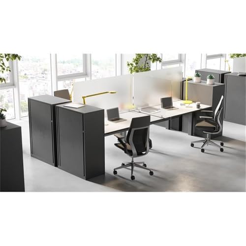 "Ghent Partition Extender, Frosted Thermoplastic w/Screws, 30""H x 42""W" (PEF3042-H)