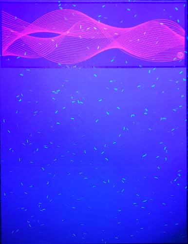 EZ Checks Premium Blank Hologram High Security Laser Check Stock | 500 Sheets | Blue/Maroon | Check at Bottom)