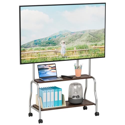 Newuzis Mobile TV Stand, 32-75 Inch Rolling TV Cart with Locking Wheels 2-Tier Storage Shelves 110lbs Capacity for Home Office Classroom Stainless Steel