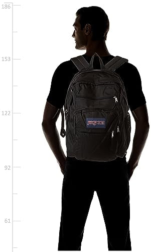 JanSport Laptop Backpack - Computer Bag with 2 Compartments, Ergonomic Shoulder Straps, 15” Laptop Sleeve, Haul Handle - Black