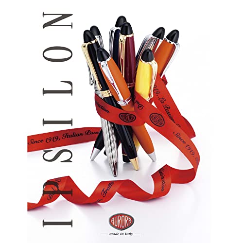 Aurora B10-OF Ipsilon Fountain Pen, F Fine Point, Satin and Orange, Dual Use Type, Genuine Import