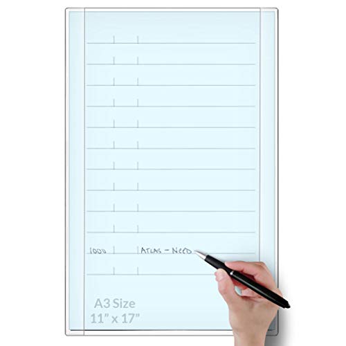 StoreSMART Open Face Document Frame - Plain-Back - Ledger Size - 11" x 17" - 10-Pack - R3449-10