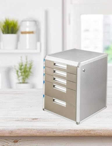 noxozoqm File Cabinets Flat 5th Floor Innovation Charming Design Wood Grain, Silver Office File Manager Locker Desktop(A)