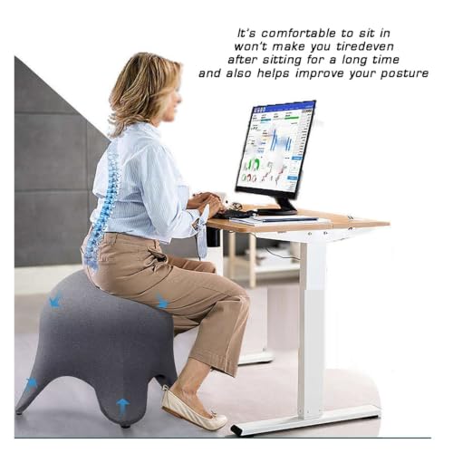 BXKCFYBSQ Ergonomic Seating Exercise Ball Chair