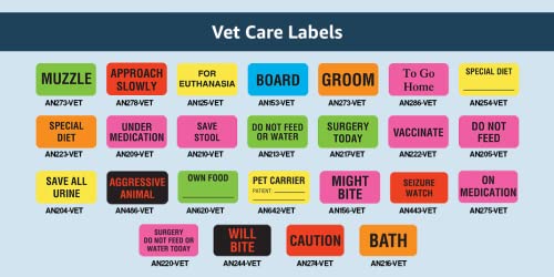On Medication Sticker, Doctor Stuff - Veterinarian File Folder Chart Labels, Care Instruction Veterinarian Stickers, 1-5/8" x 7/8", Fluorescent Pink, 560/Roll, Tabbies Vet V-AN275