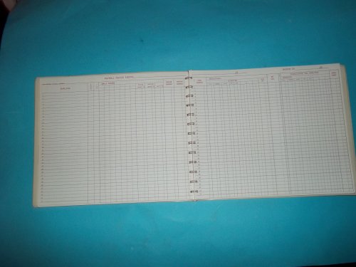 RRPS R-35 Redi-Record Payroll Systems Payroll Book and Tax Analysis Light Blue