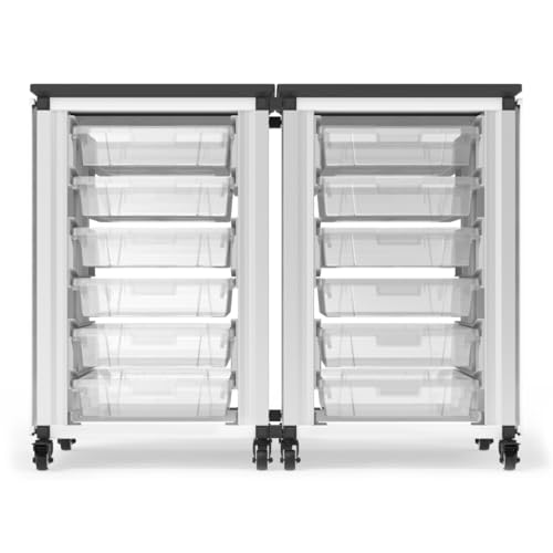 LUXOR MBS-STR-21-12S Modular Classroom Storage Cabinet - 2 Side-by-Side modules with 12 Small Bins