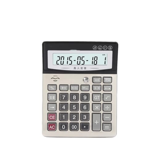 Business Large Voice Cash Verification Calculator Wholesale Finance Office Real Person Pronunciation Computer