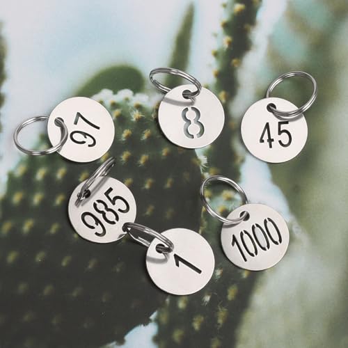 NumRealm 25mm 304 Stainless Steel Number Tags with Rings, Metal Key ID Labels for Organization, Numbers 1 to 400