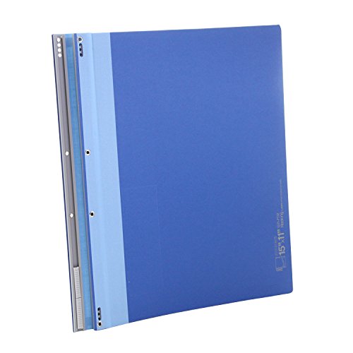 Lion Office Device 1511-FD2 Data File, Letter Type, Y15" x T11", 1000 Sheets, Blue