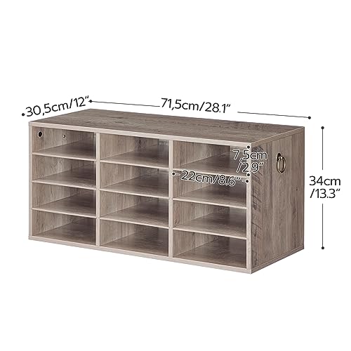 HOOBRO Countertop Mail Sorter Organizer, Wooden Literature Organizer, Student Mailbox for Classroom, Desktop Bill Organizer for Office Home School, 12 Compartments, Greige BG43WF01
