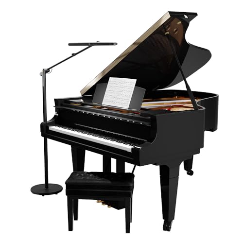 BenQ PianoLight Grand, LED Piano Floor Lamp for Grand, Upright & Digital Pianos, Wide & Even Illumination, Auto Dimming, 14 Brightness Levels x 7 Color Temperatures, Auto On/Off, Black