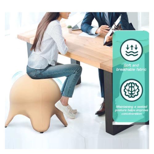 BXKCFYBSQ Ergonomic Seating Exercise Ball Chair