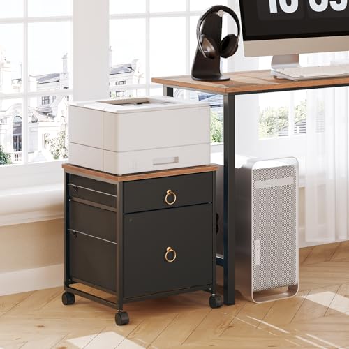 HOOBRO File Cabinet, 2-Drawer Vertical Mobile Office Cabinet, Rolling Printer Stand, for A4/Letter Size Files, Nonwovens Drawer, for Home Office, Rustic Brown and Black BFK21WJ01