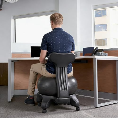 EXCLURA Balance Ball Office Chair with Back Support & Wheels, Ergonomic Stability Ball Chair for Desk Sitting, Yoga Ball Seat for Active Sitting(Style A)
