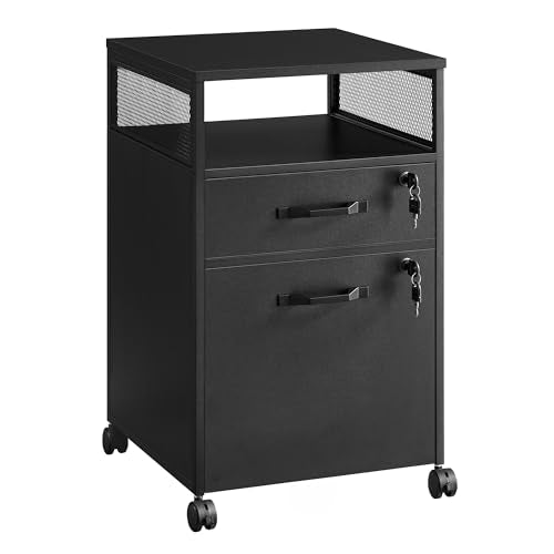 VASAGLE 2 Drawer File Cabinet with Lock, Rolling Printer Stand