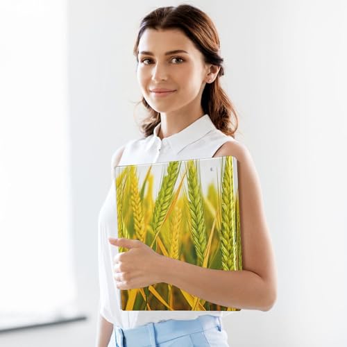 Xpdkjwd Wheat Field Pattern 3 Ring Binder Can Hold 200 Letter Size Binders, Suitable for Home, Office, Dormitory, 2Pcs