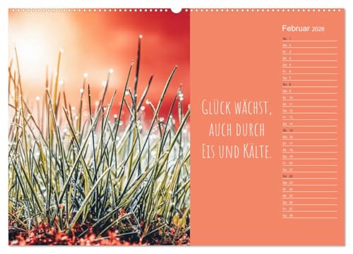 A Portion of Happiness – Motivational Calendar for the Whole Year (High-Quality Premium Wall Calendar 2026 DIN A2 Landscape), Art Print in High Gloss: Calendar with ... to Be Happy (CALVENDO