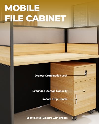 2 Person Cubicle Desk Office Workstation w/Privacy Partitions & Cabinet