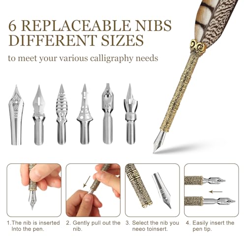 Calligraphy Pen Set - Feather Dip Pen,Dual Tip Calligraphy Fountain Pen