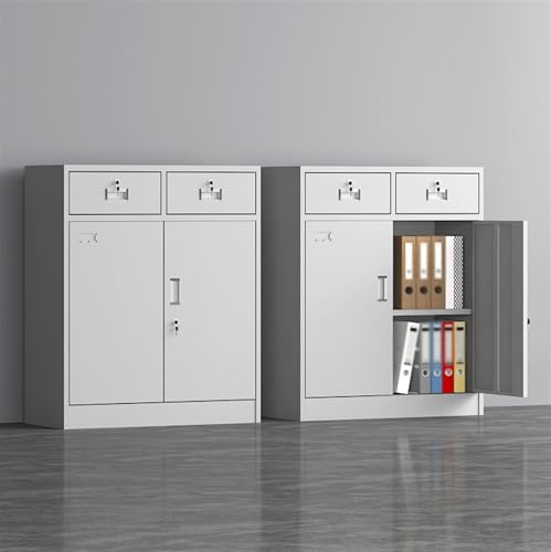GRFIT Steel Filing Cabinet for Office, Filing Cabinets with Locks, Short Cabinet, Double Drawer, Double Door, Storage Cabinets Filing Cabinets Office