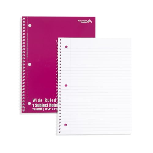 Blue Summit Supplies 48 Pack Spiral Notebooks Bulk, Wide Ruled, Assorted