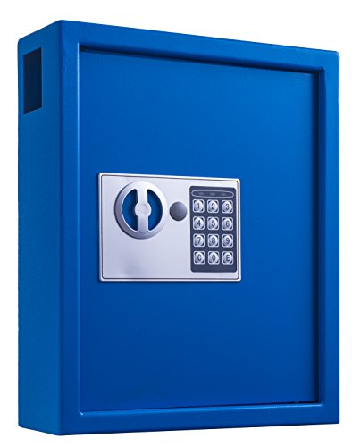 AdirOffice Steel Key Holder Wall Mount - 40-Key Lock Box with Code, Key Cabinet, Valet Parking Key Box, Car Dealer Key Cabinet - Space Saving Locking Key Box with Digital Lock