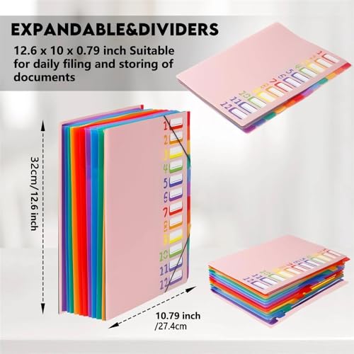File Folders A4 Letter Size, Multicolor 12 Pocket Expanding Project Sorter Heavy Duty Monthly Plastic Expandable Folder Organizer File Jacket(Black)