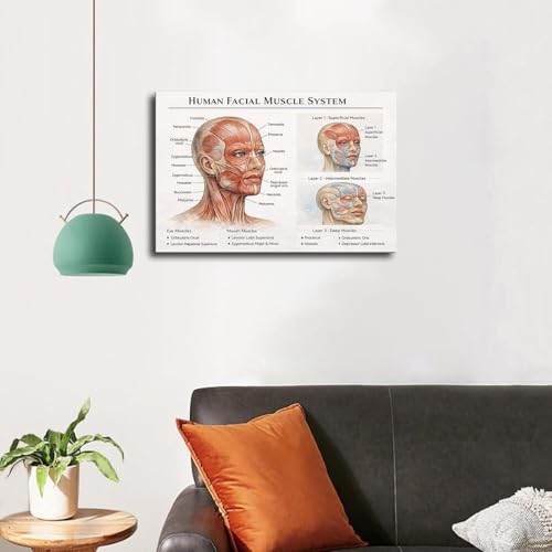 Facial Muscle Anatomy Chart Poster Human Face Muscle Diagram Medical Educational Wall Art for Clinic Classroom Massage Therapist Decor (Framed,16×24 inch)